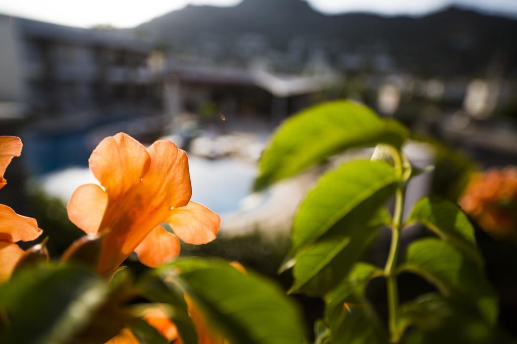 Genc Hotel Bodrum Exterior foto
